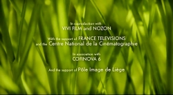 خیلی خیلی کوچک (2) (شب شکمپاها)